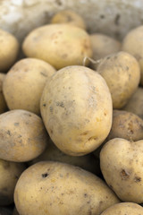 potatoes - shallow depth of field
