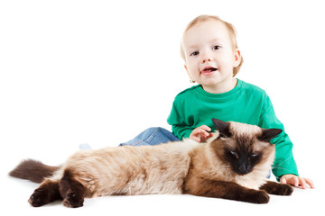 little boy with balinese cat isolated on white