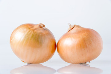 two onions isolated on white background