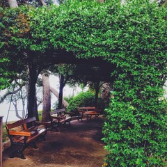 Saint Martin Gardens