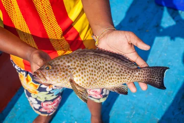 Fotobehang fisherman holding grouper fish on the fishing boat © suwanphoto