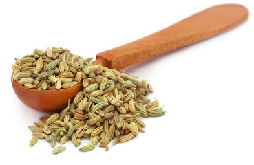Fennel seeds