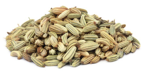 Fennel seeds