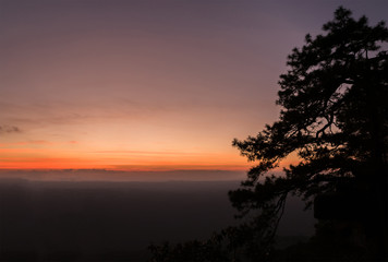 Fototapeta na wymiar Scenery of sunset sky with silhouette of pine trees.