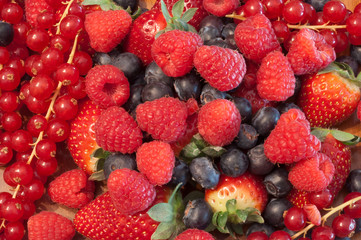 beautiful background of berries