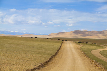 Fototapeta premium Beautiful landscape in Tibet, China
