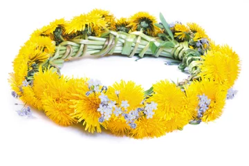 Photo sur Plexiglas Dent de lion dandelion wreath on a white
