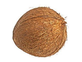 Coconut isolated on white background