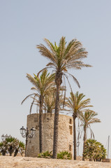 Alghero, Altstadt, Stadt, historische Altstadt, Hafen, Stadtmauer, Befestigungsmauer, Torre de Castilla, Mittelmeer, Küste, Ausflugsschiffe, Sommer, Insel, Sardinien, Italien