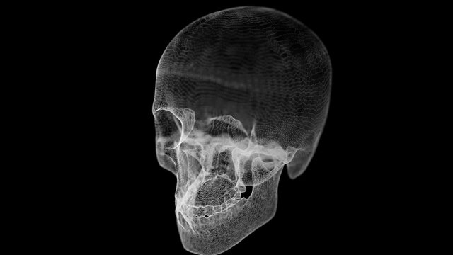 Grid of Human Skull animation
