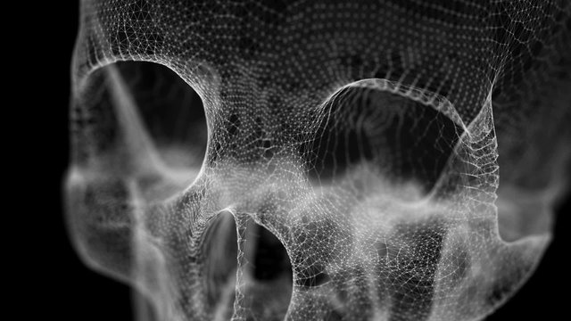 Grid of Human Skull animation
