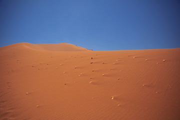 Sands dunes in the desert