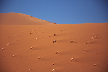 Sands dunes in the desert