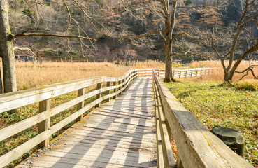 Fototapeta premium wooden walking platform at Yumoto Onsen marsh area , Nikko in Japan