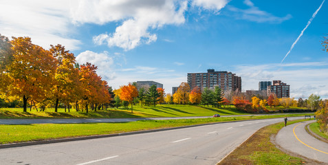 Traffic along Ottawa riverside parkway - runners on winding paved pedestrian path.  Outing in autumn afternoon sun.  Panoramic view following Ottawa River.  Apartments & condos along parkway. - 99438451