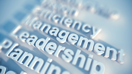 Leadership and management