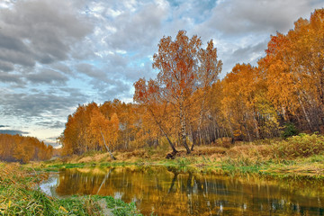 Fototapeta na wymiar mellow autumn on river bank