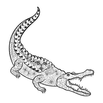 Crocodile doodle