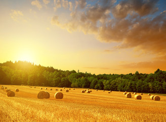 Straw bales on farmland at sunset