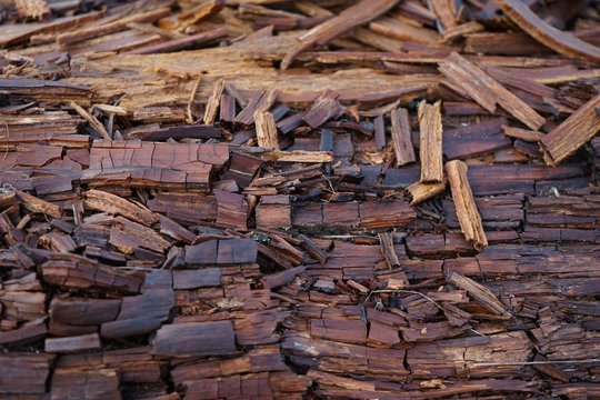 Morsches Holz