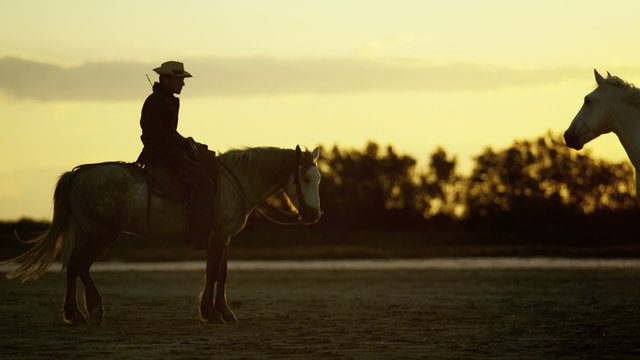 Cowboy France Camargue sunrise animal horses livestock