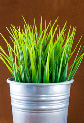 decorative green grass - 99442096