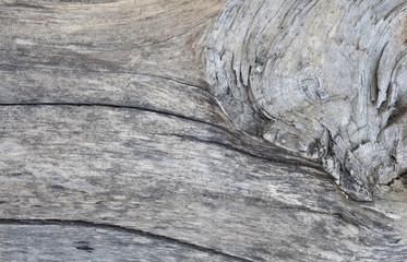 Fototapeta premium Wood texture background