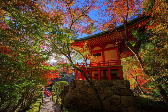 Colorful tree leaves around Daigoji temple,  Kyoto