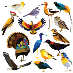 Fototapeta premium Birds-set colorful birds low poly design isolated on white background. Avocet,Eagle,Rail, Bird of paradise ,Flameback,Manakin,Jay,Kea,Heron,Owl,Parula,Longspur,Verdin,Turkey,Warbler