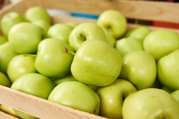 Apples at the farmers market green color