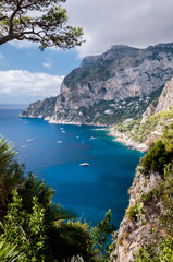 Beautiful view framed by trees of Marina Piccola and sea in Capr