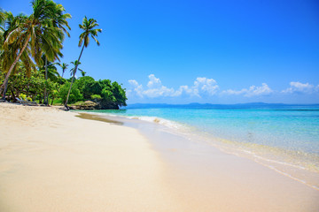 Obraz na płótnie Canvas paradise tropical beach