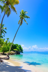 paradise tropical beach