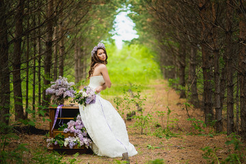 Fototapeta premium the bride poses in the wood near a case with a lilac