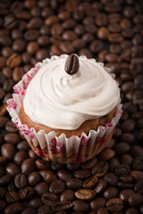 Chocolate cupcake on the coffee beans 