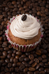 Chocolate cupcake on the coffee beans 