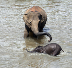 Mother and baby