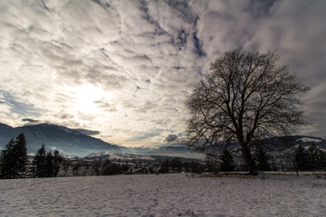 Winterlandschaft, Baum, Wolken