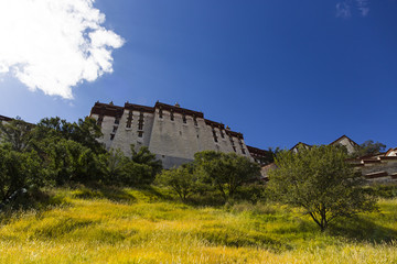 Fototapeta premium Potala palace in Tibet, China