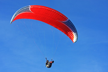 Paraglider