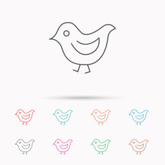 Bird icon. Chick with beak sign.