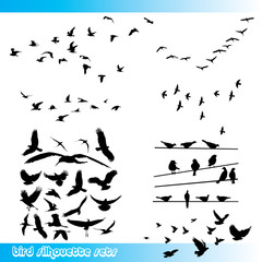 Obraz na płótnie Canvas Bird silhouettes set