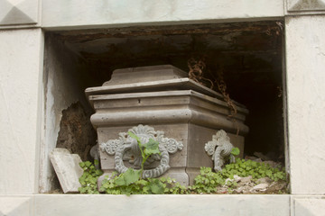 Fototapeta na wymiar Wooden coffin in overgrown crypt.