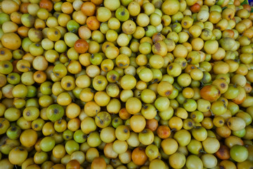 fresh monkey apple fruit or Jujube background, fruit market thailand