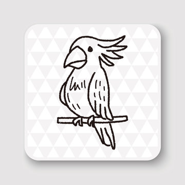 parrot doodle