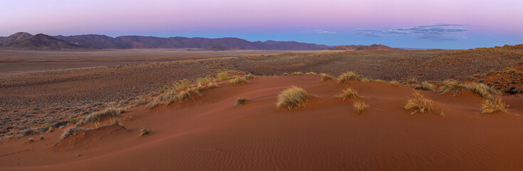 Fototapeta na wymiar Early morning light in the Kalahari