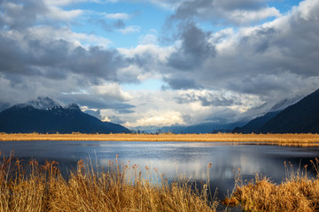 Marsh with mountains in the background and dry grass in the foreground