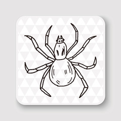 spider doodle