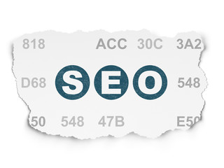 Web development concept: SEO on Torn Paper background