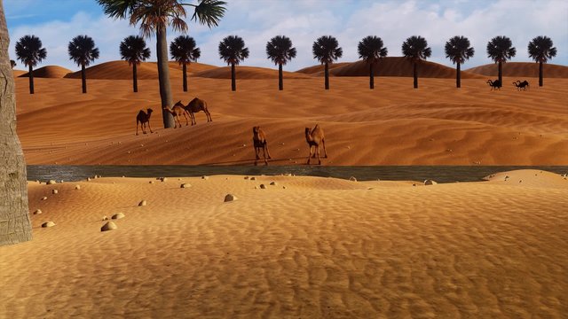 Sahara Desert Loop with camel and palm trees